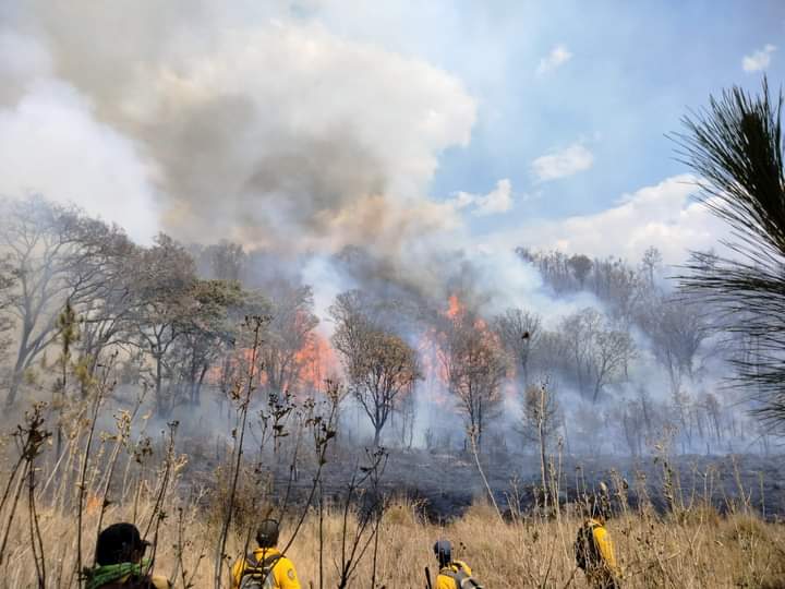 Incendio En Cerro Del Quinceo Ya Fue Controlado Pero Hay 5 Activos En