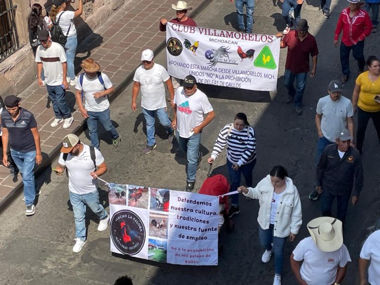 Alcalde no intervendrá en polémica por prohibir o no peleas de gallos y corridas de toro