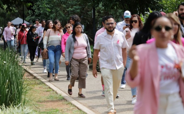 Se realiza este sábado la segunda Feria Rosa con Causa